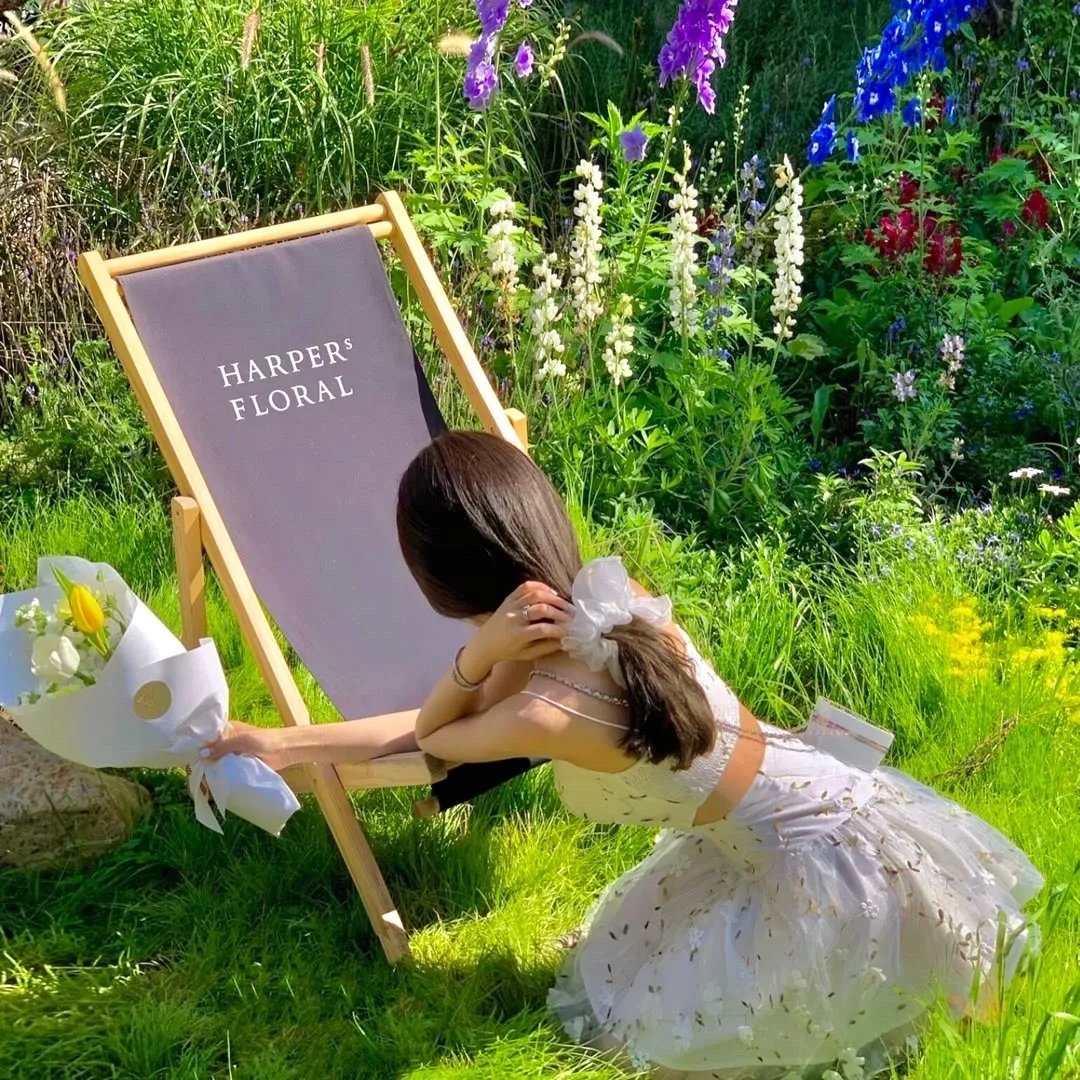 读书会2：下一章